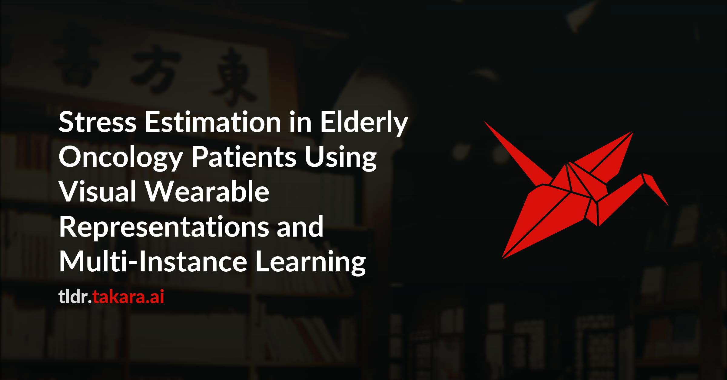 Stress Estimation in Elderly Oncology Patients Using Visual Wearable Representations and Multi-Instance Learning