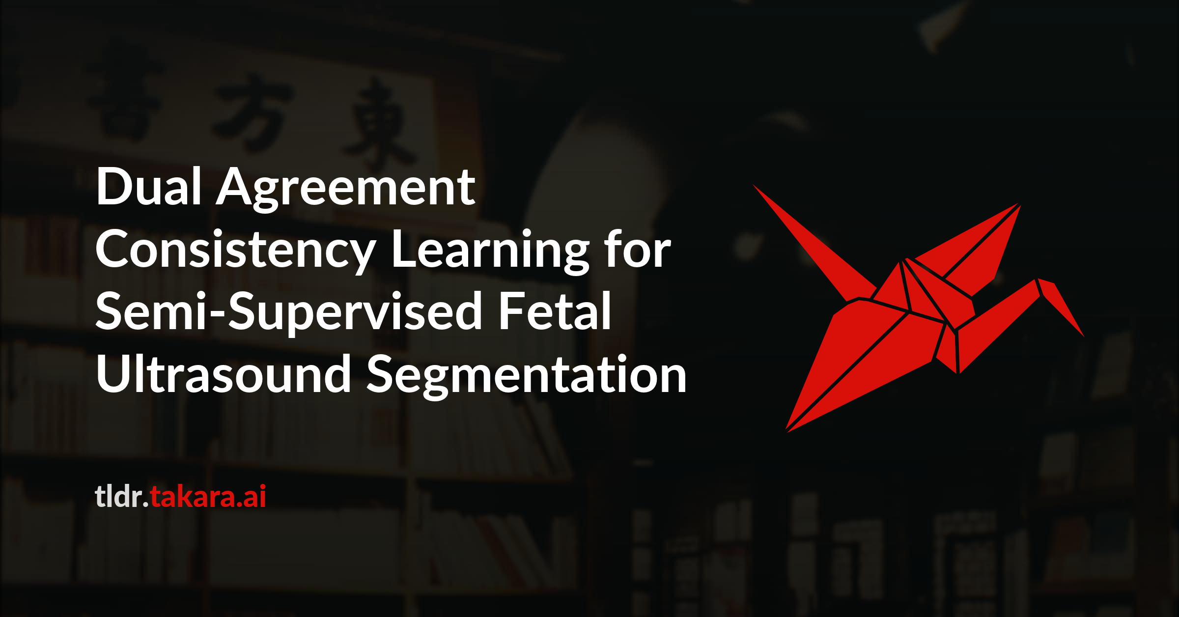 Dual Agreement Consistency Learning for Semi-Supervised Fetal Ultrasound Segmentation