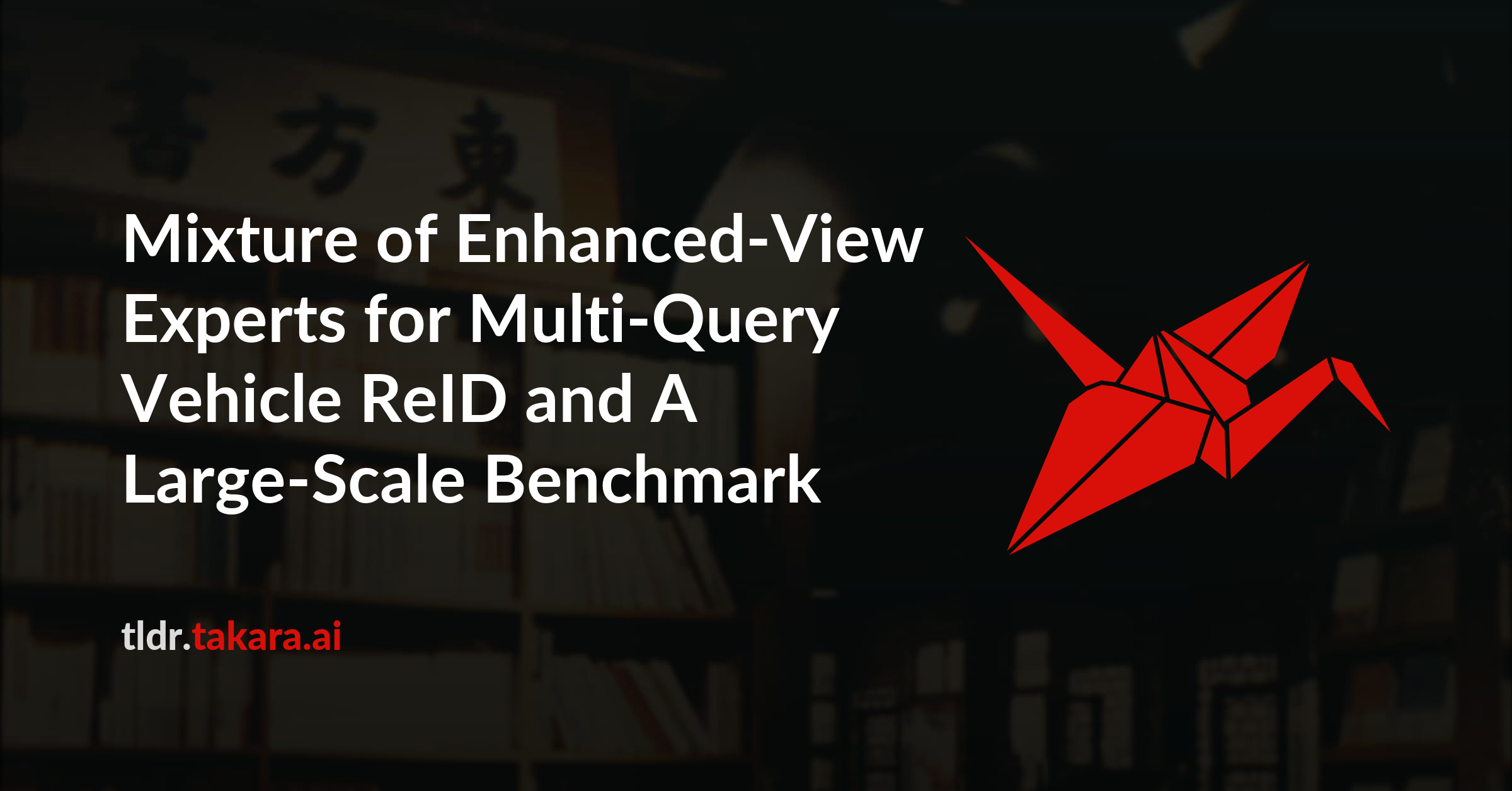 Mixture of Enhanced-View Experts for Multi-Query Vehicle ReID and A Large-Scale Benchmark
