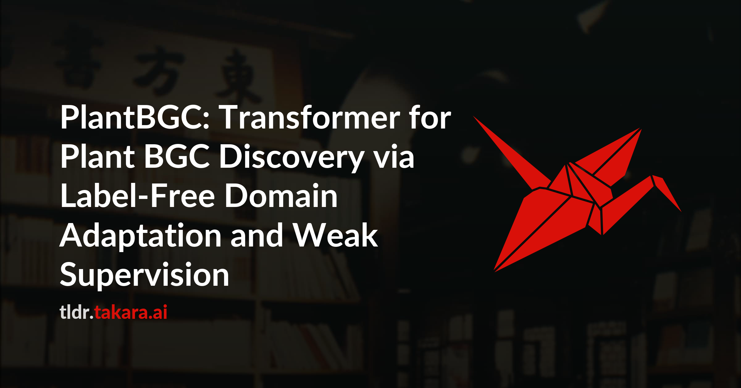 PlantBGC: Transformer for Plant BGC Discovery via Label-Free Domain Adaptation and Weak Supervision
