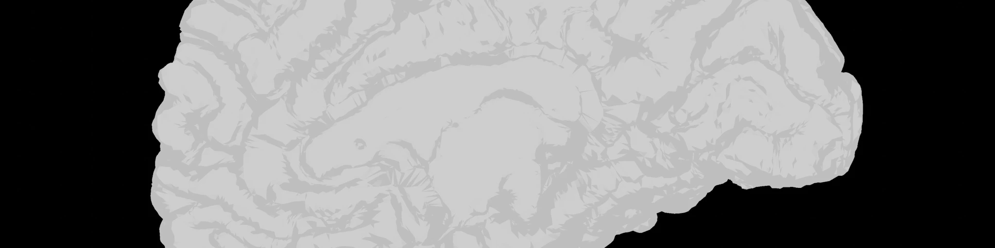 a white brain on a black background