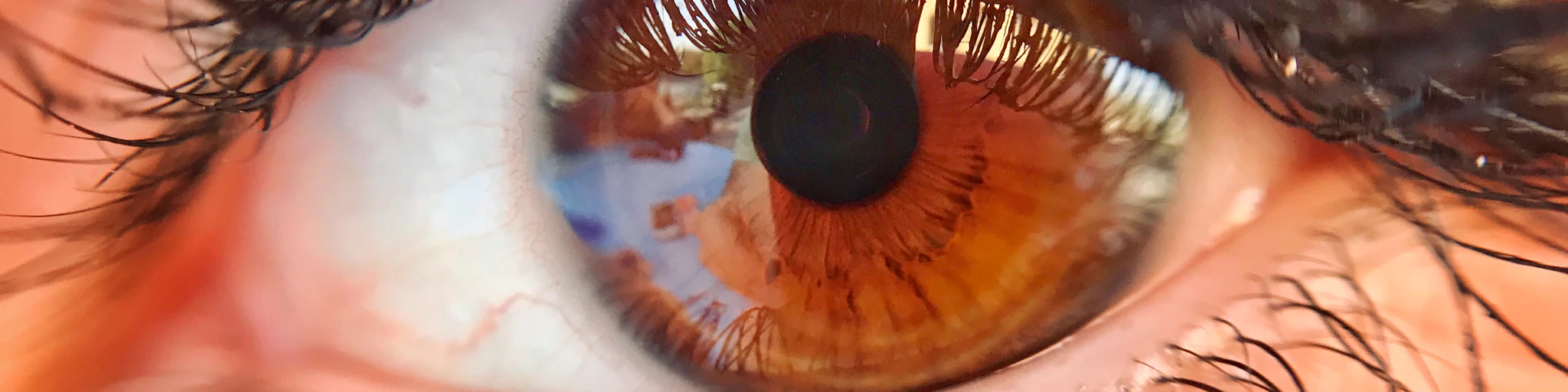 persons eye with black and brown
